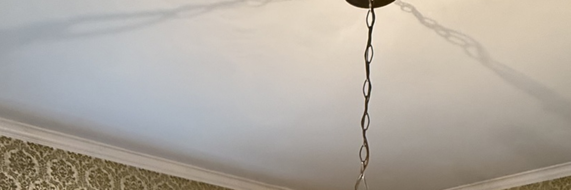 617 Meadow Drive Glenview, IL 60025 - Photo 5 of 16 a room with a fan and a plant