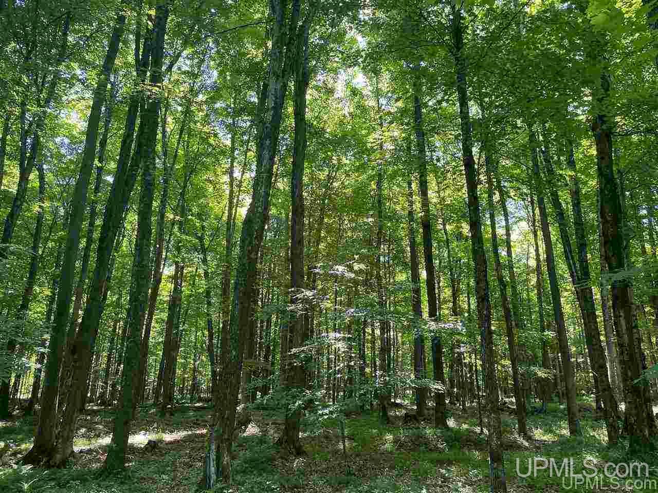 4036 26th Road Cornell, MI 49818 - Photo 29 of 49