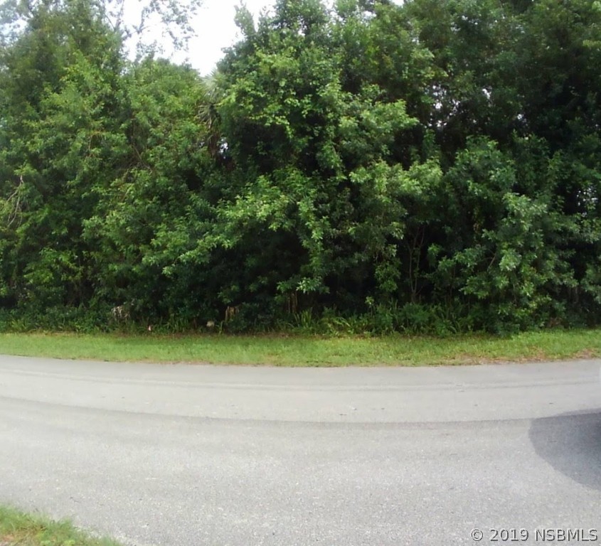 0 Azalea Road Edgewater, FL 32141 - Photo 2 of 8 a view of a yard