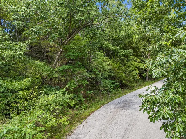 $22,000 | 1 Rhett Butler Drive, Hillsboro, MO 63050