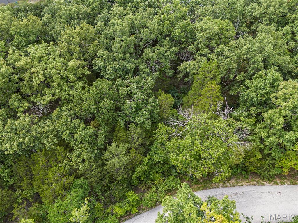 1 Rhett Butler Drive Hillsboro, MO 63050 - Photo 2 of 3