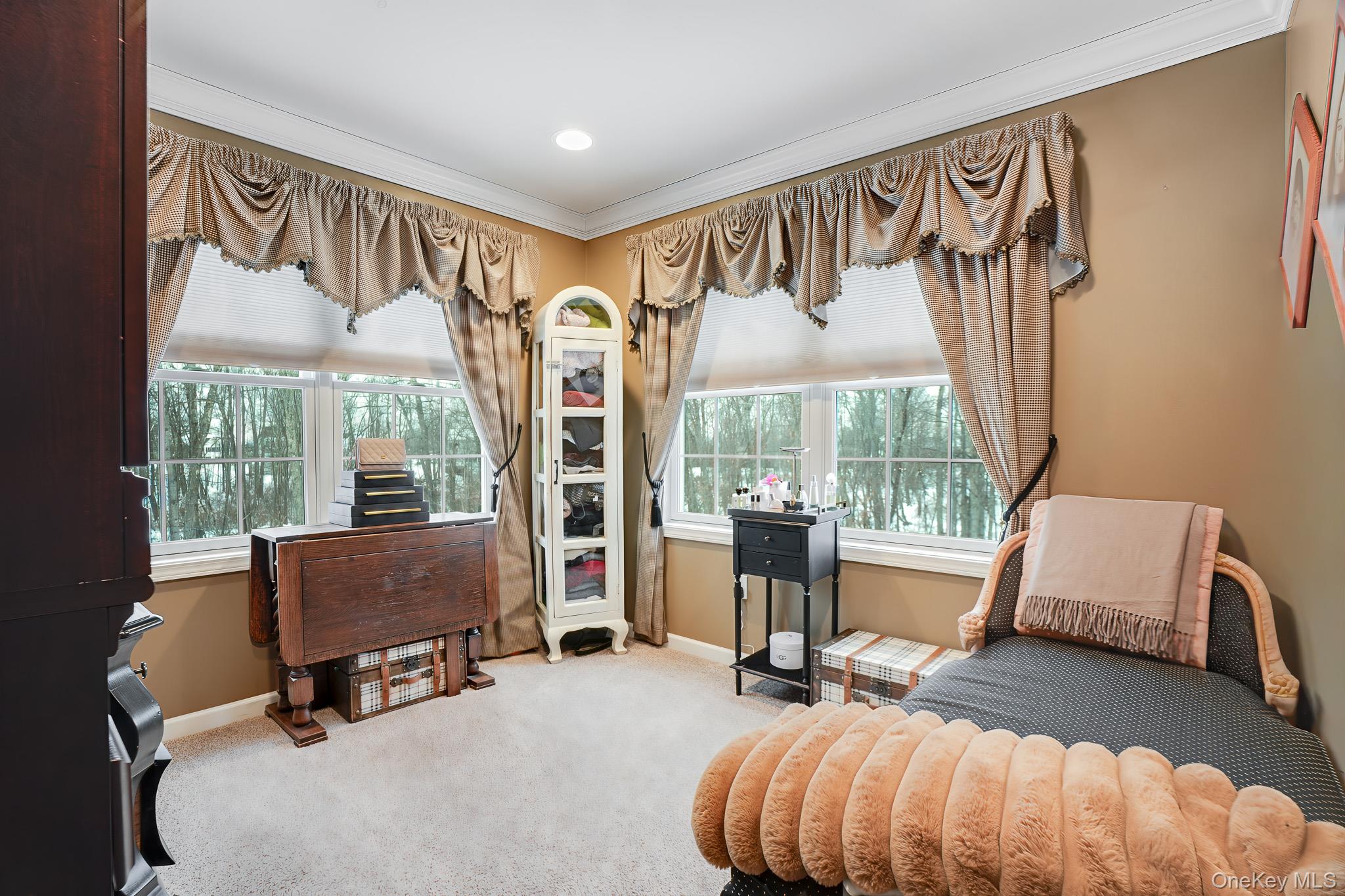 22 Ridgemont Drive Hopewell Junction, NY 12533 - Photo 22 of 47