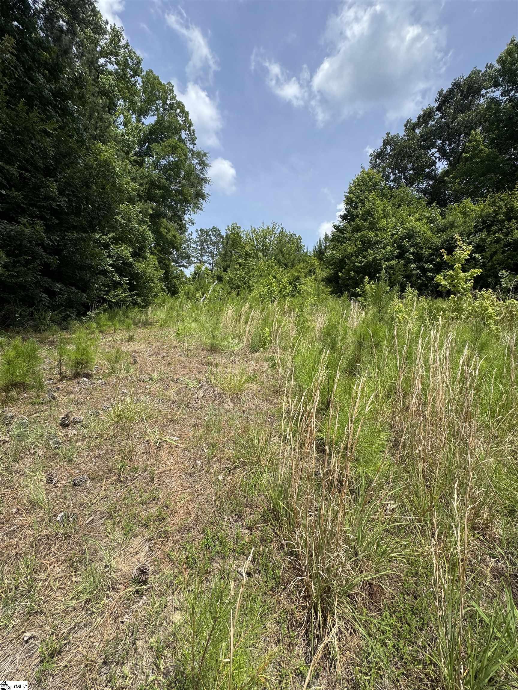 659 Dove Field Road Cross Hill, SC 29332 - Photo 4 of 28