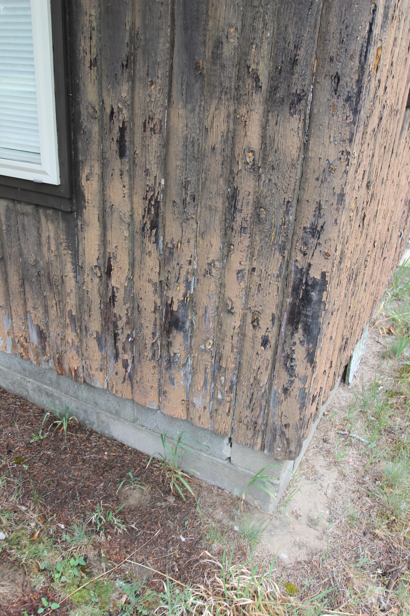 1369 South Stephan Bridge Road Grayling, MI 49738 - Photo 5 of 27 Gallery Image 5