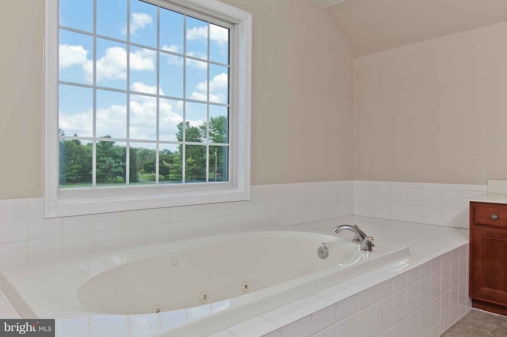 12652 Spickler Road Clear Spring, MD 21722 - Photo 17 of 30 Bath (Master)