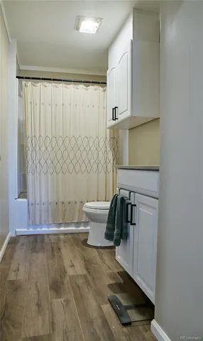 a bathroom with a sink and a shower