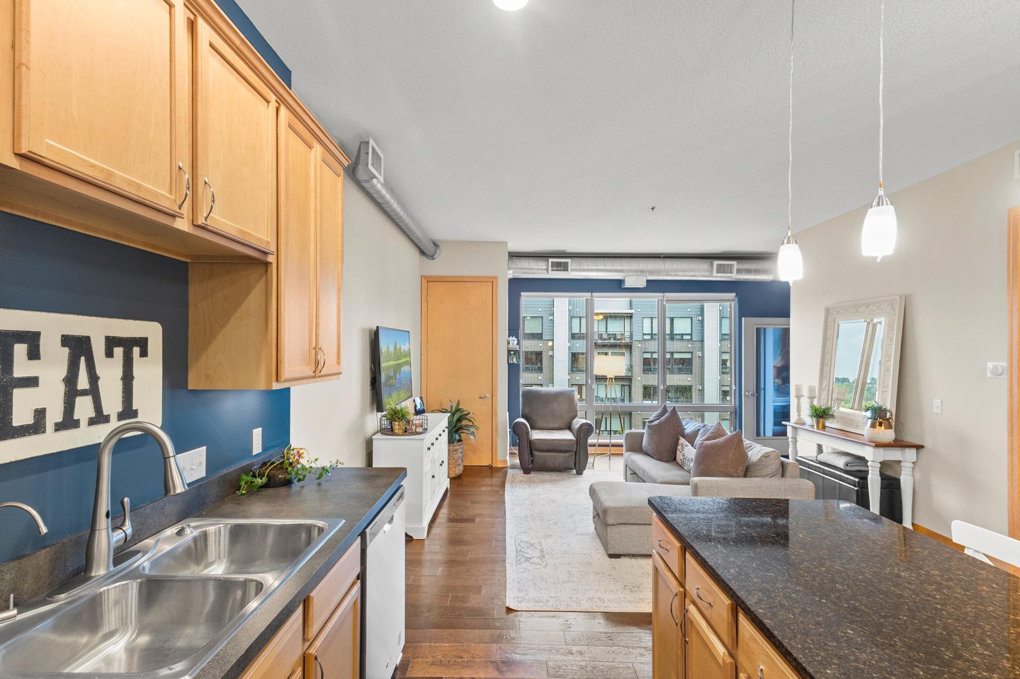 240 Spring Street, Unit 407 St. Paul, MN 55102 - Photo 6 of 27