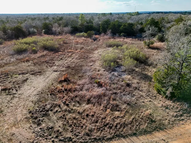 $100,000 | Lot 14 Antioch Road, Paige, TX 78659