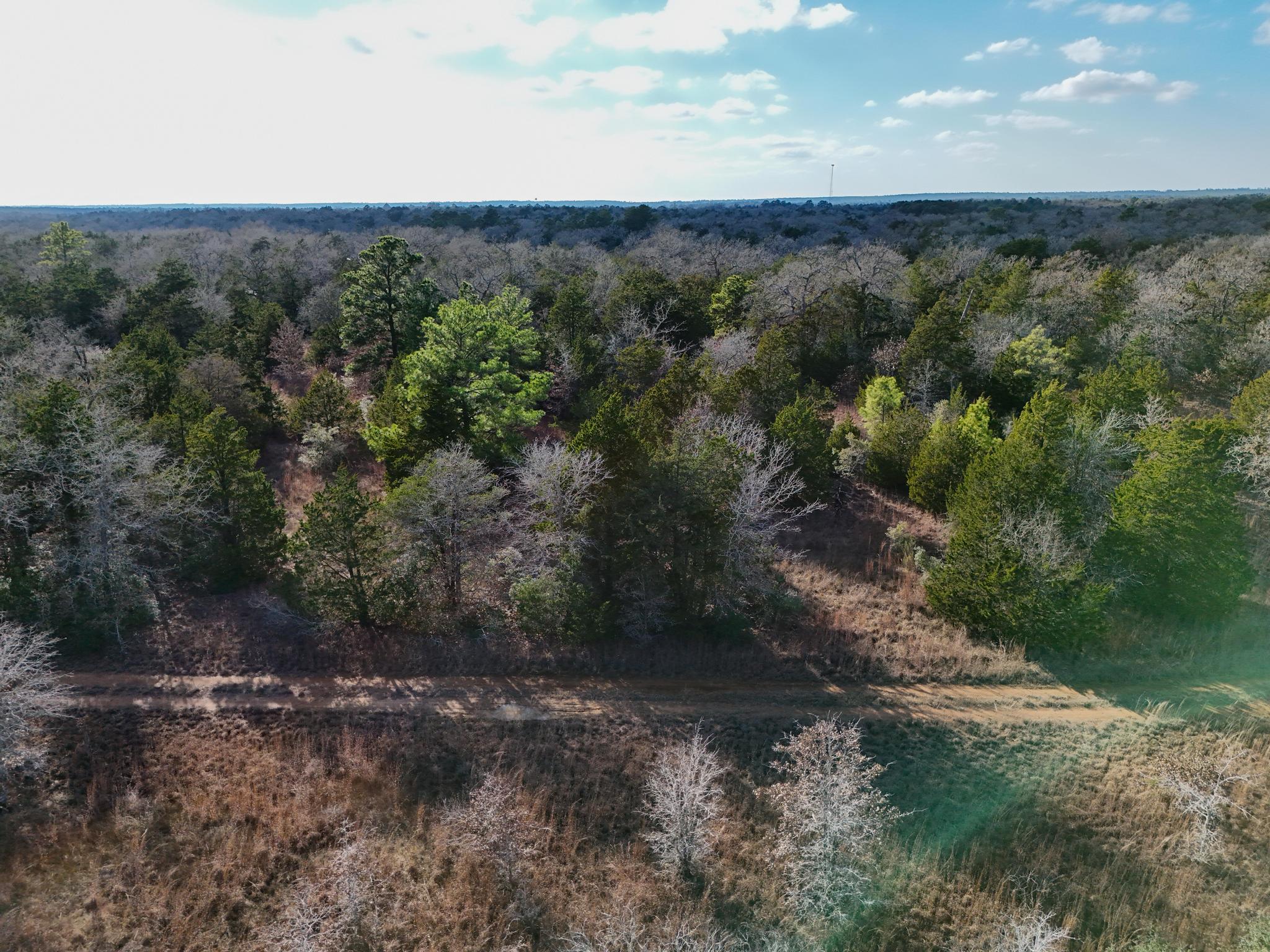 Lot 14 Antioch Road Paige, TX 78659 - Photo 4 of 17 Aerial view of a heavily wooded area