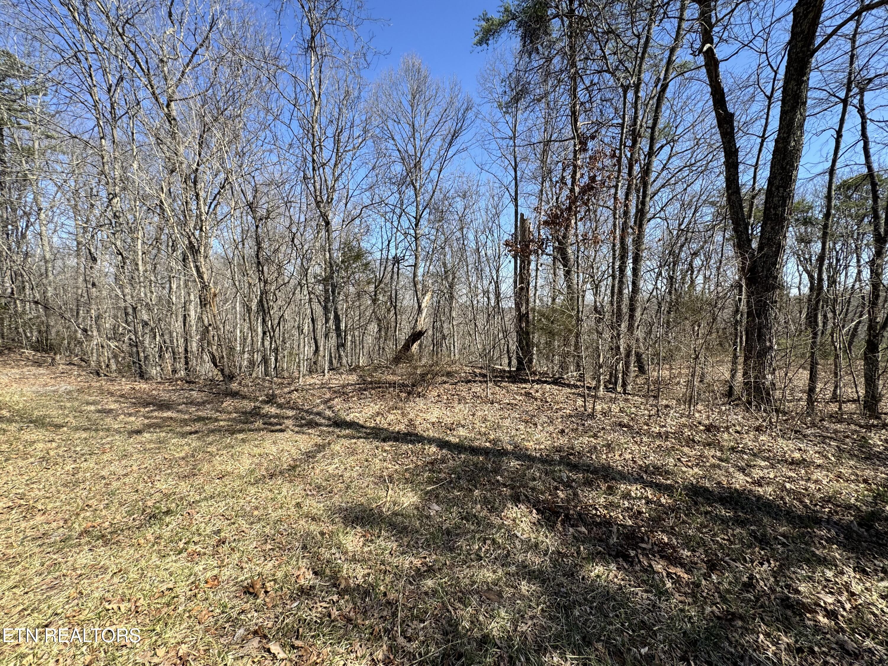 Honey Springs Road Crawford, TN 38554 - Photo 4 of 14 IMG_2832