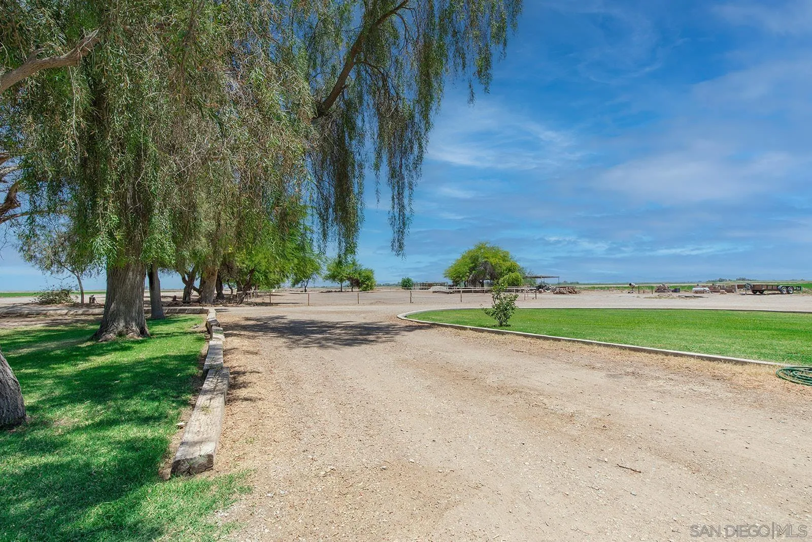 a view of a yard with palm trees