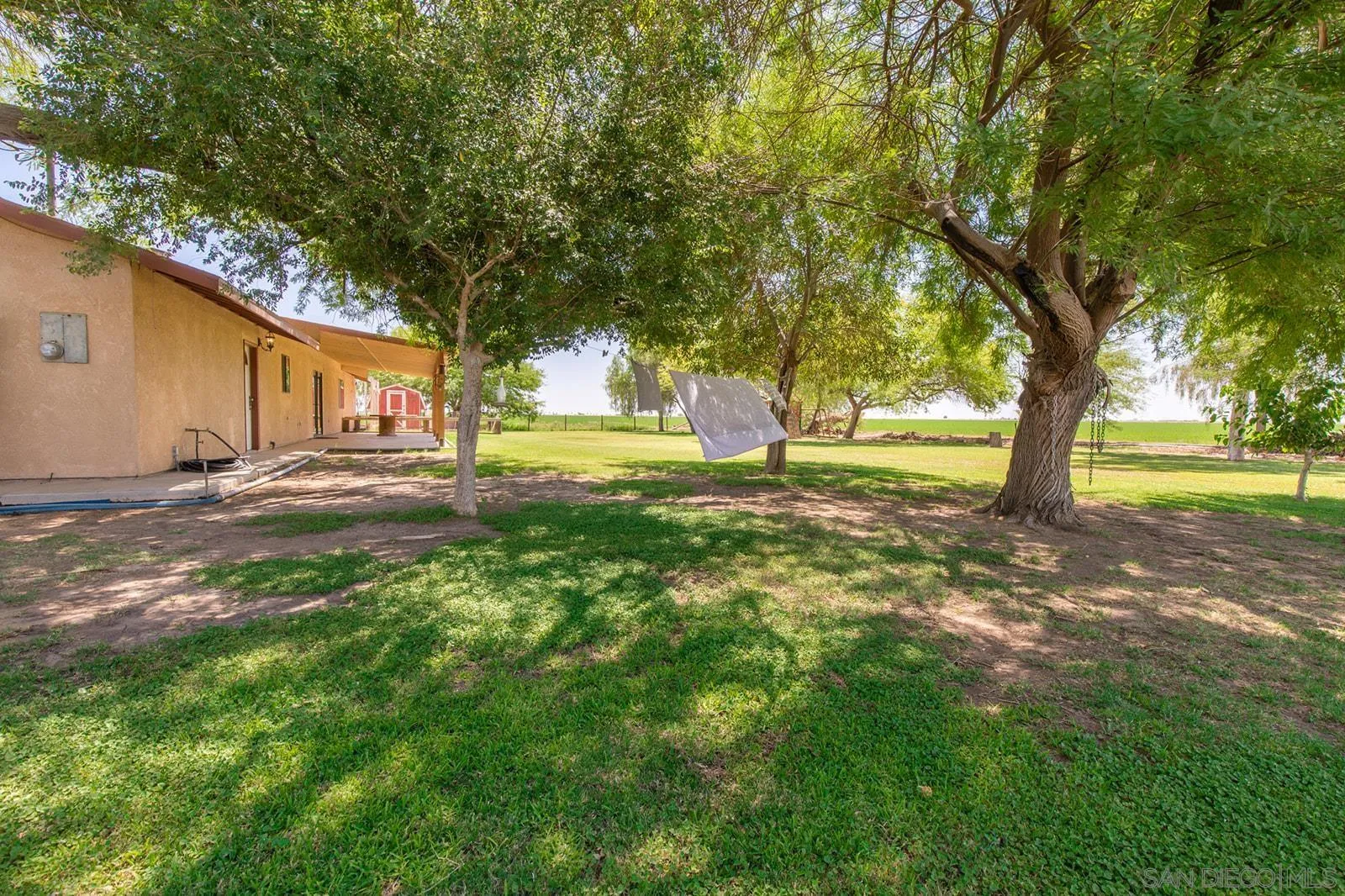5754 Brandt Road Brawley, CA 92227 - Photo 48 of 48 a view of a yard with plants and large trees
