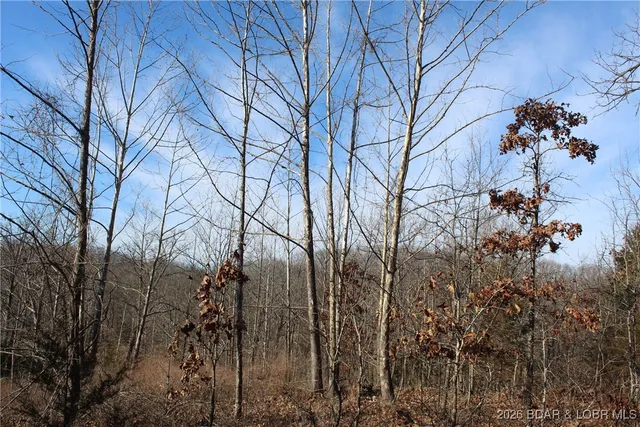 $22,950 | Lot 13-a&14a Lot 13-a&14a Pinkie Lane, Gravois Mills, MO 65037