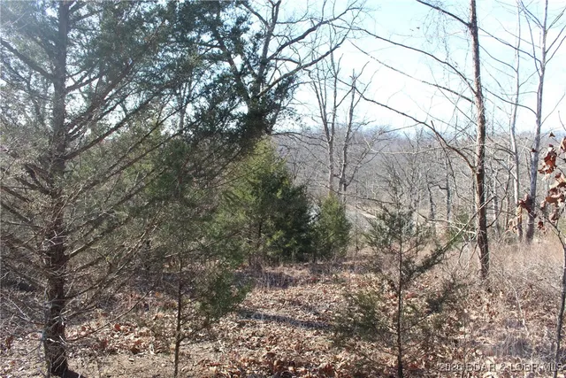 $22,950 | Lot 13-a&14a Lot 13-a&14a Pinkie Lane, Gravois Mills, MO 65037