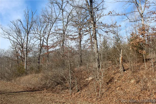 $22,950 | Lot 13-a&14a Lot 13-a&14a Pinkie Lane, Gravois Mills, MO 65037