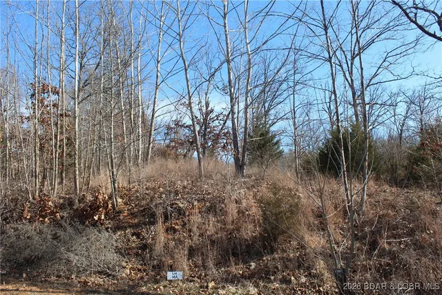 $22,950 | Lot 13-a&14a Lot 13-a&14a Pinkie Lane, Gravois Mills, MO 65037