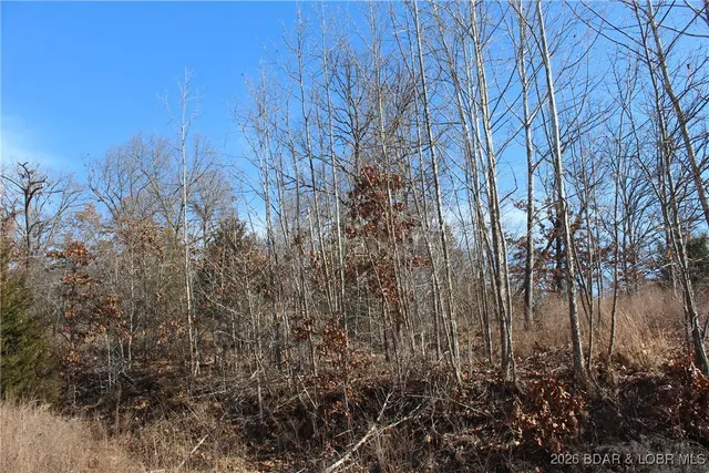 $22,950 | Lot 13-a&14a Lot 13-a&14a Pinkie Lane, Gravois Mills, MO 65037