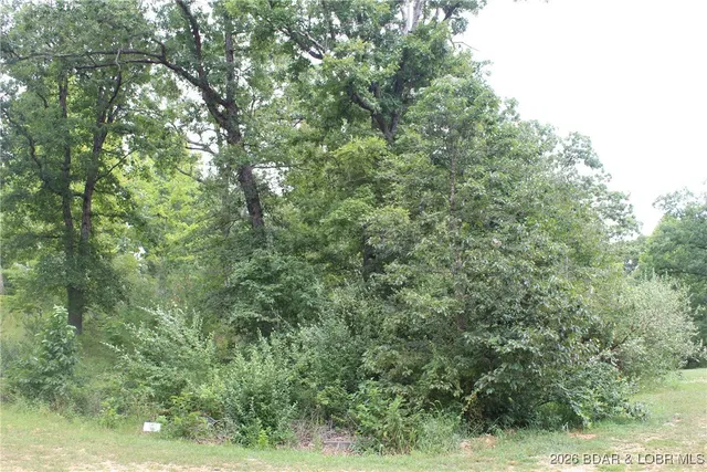 $22,950 | Lot 13-a&14a Lot 13-a&14a Pinkie Lane, Gravois Mills, MO 65037