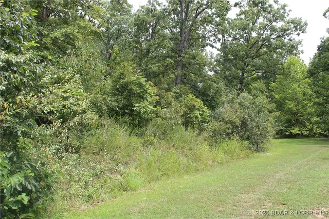 $22,950 | Lot 13-a&14a Lot 13-a&14a Pinkie Lane, Gravois Mills, MO 65037
