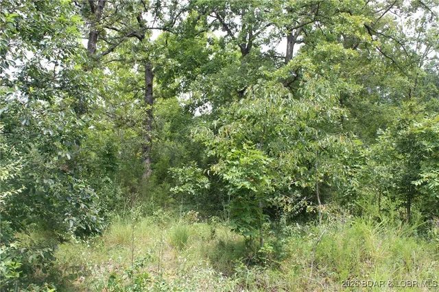 $22,950 | Lot 13-a&14a Lot 13-a&14a Pinkie Lane, Gravois Mills, MO 65037