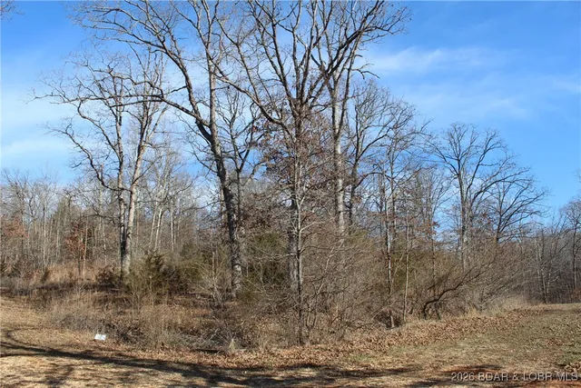 $22,950 | Lot 13-a&14a Lot 13-a&14a Pinkie Lane, Gravois Mills, MO 65037