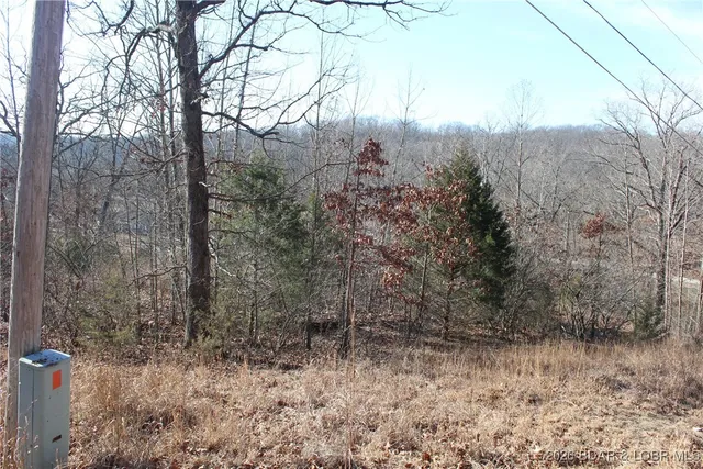 $22,950 | Lot 13-a&14a Lot 13-a&14a Pinkie Lane, Gravois Mills, MO 65037