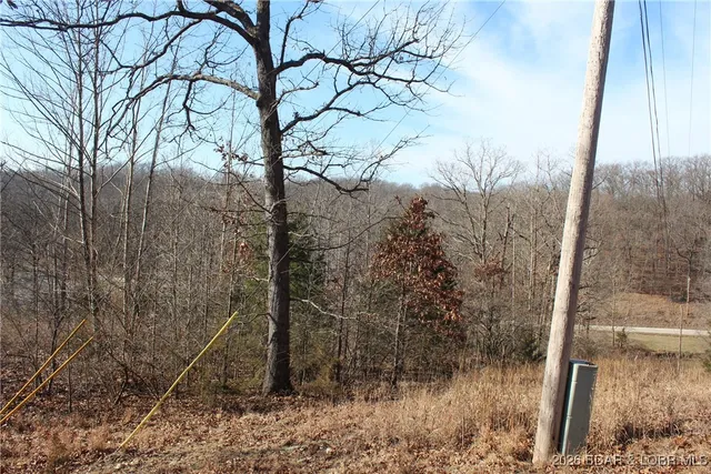 $22,950 | Lot 13-a&14a Lot 13-a&14a Pinkie Lane, Gravois Mills, MO 65037