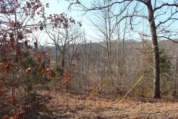 $22,950 | Lot 13-a&14a Lot 13-a&14a Pinkie Lane, Gravois Mills, MO 65037