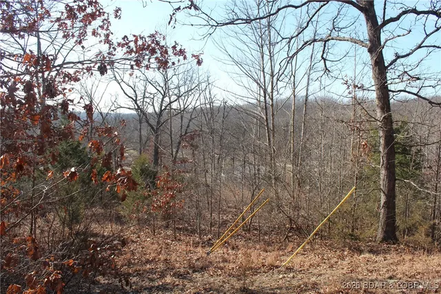 $22,950 | Lot 13-a&14a Lot 13-a&14a Pinkie Lane, Gravois Mills, MO 65037