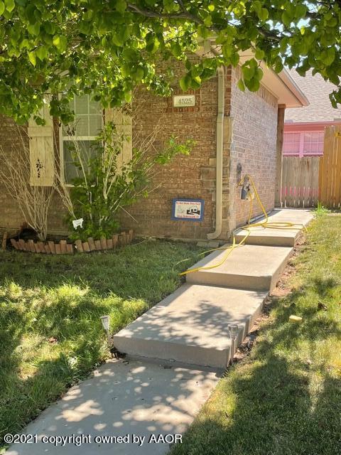 a view of a backyard