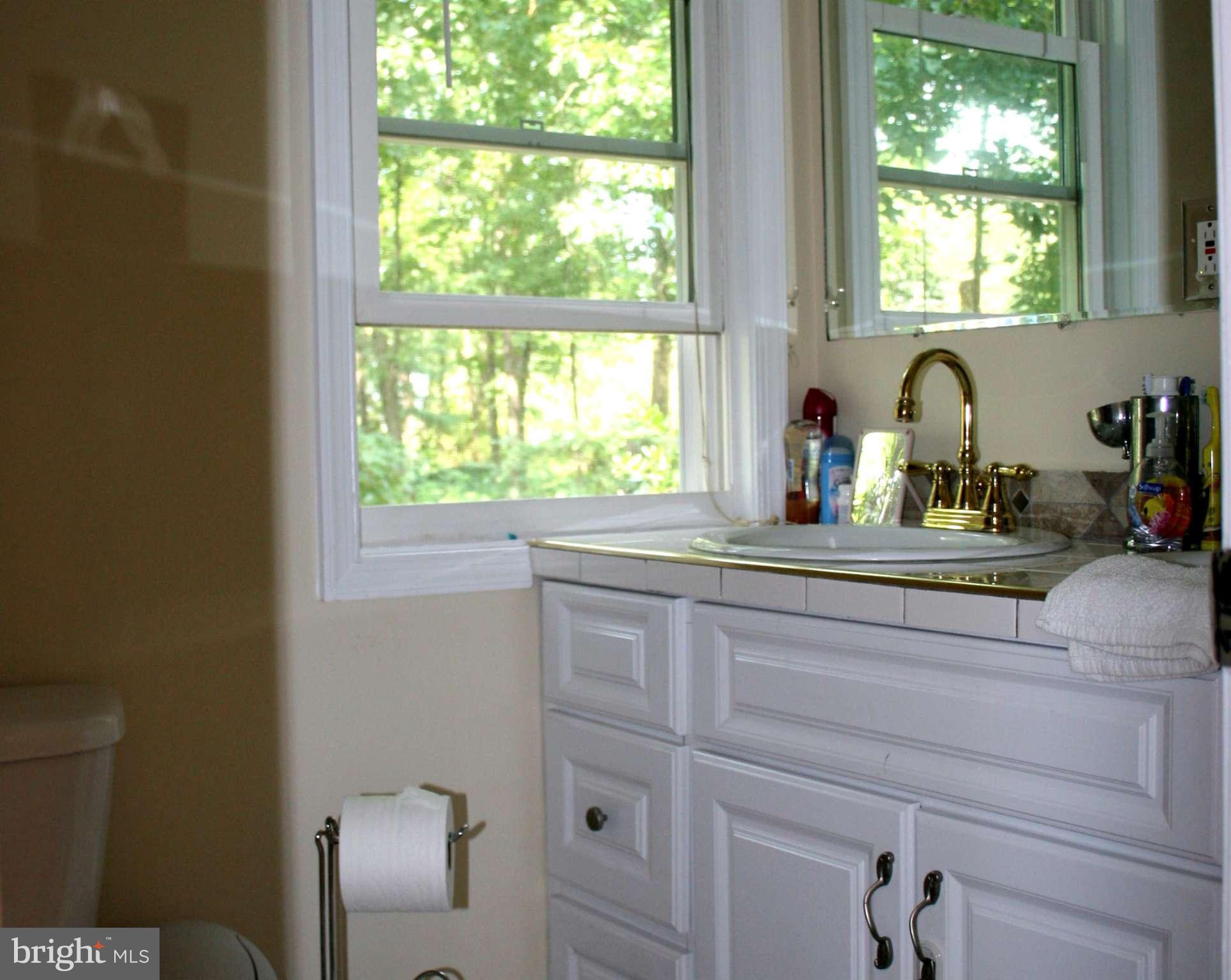 7412 Castle Road Manassas, VA 20109 - Photo 10 of 15 Bath (Master)