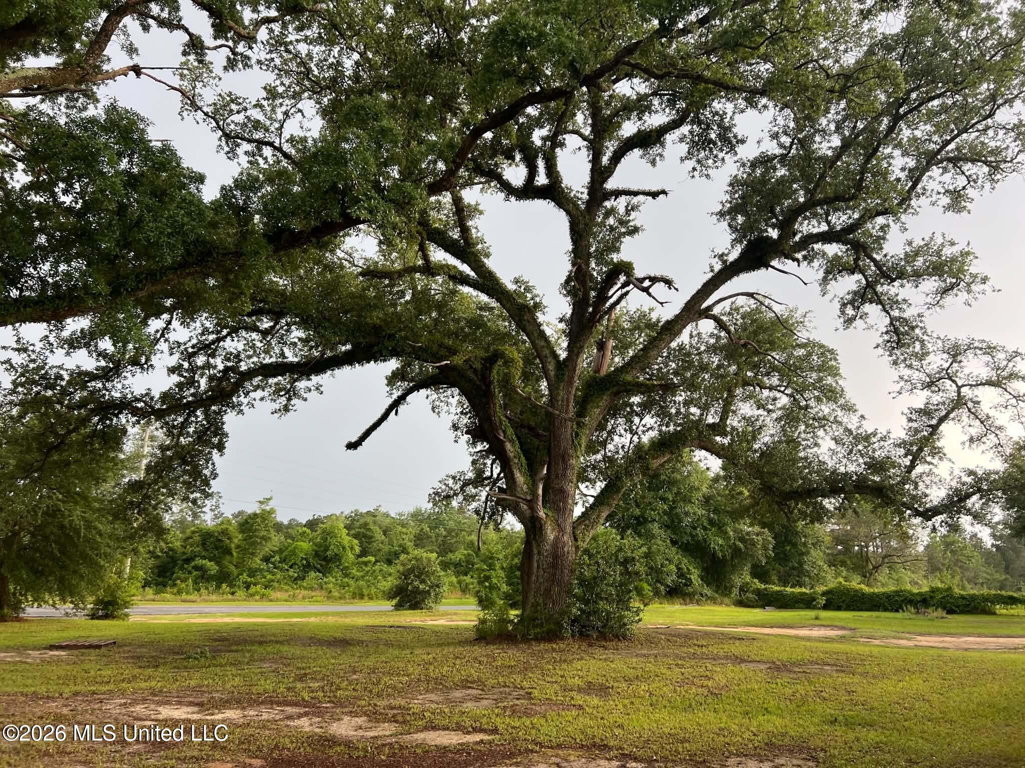 1882 McInnis Vernal Road Lucedale, MS 39452 - Photo 7 of 20 713723205_1287483190168425_7523075314353