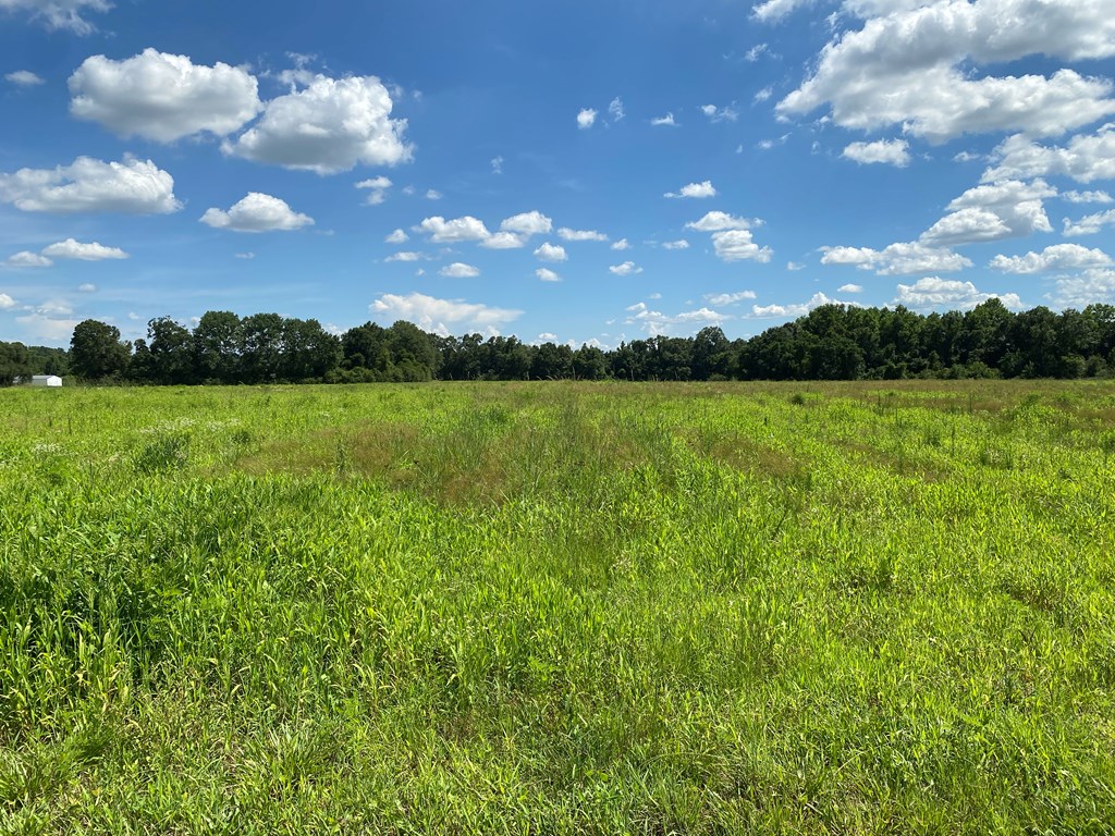 16-ac 16-ac National Road Dothan, AL 36301 - Photo 12 of 45