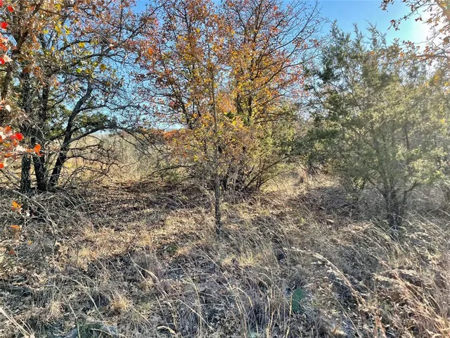 $55,000 | Lot 81 Hidden Shores Drive, Cisco, TX 76437