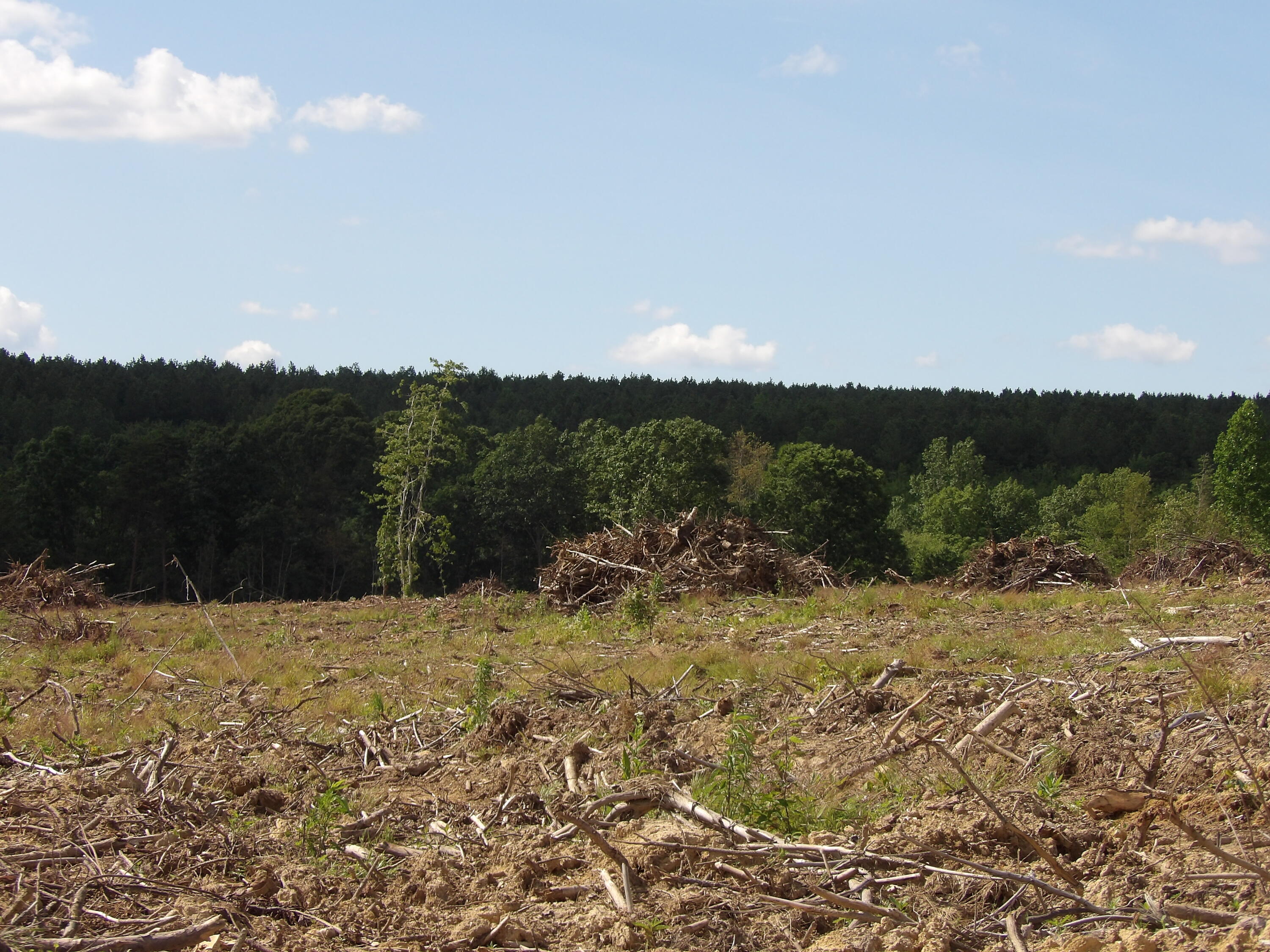 Lot 15 Summer City Road Evensville, TN 37332 - Photo 1 of 24 100_1682