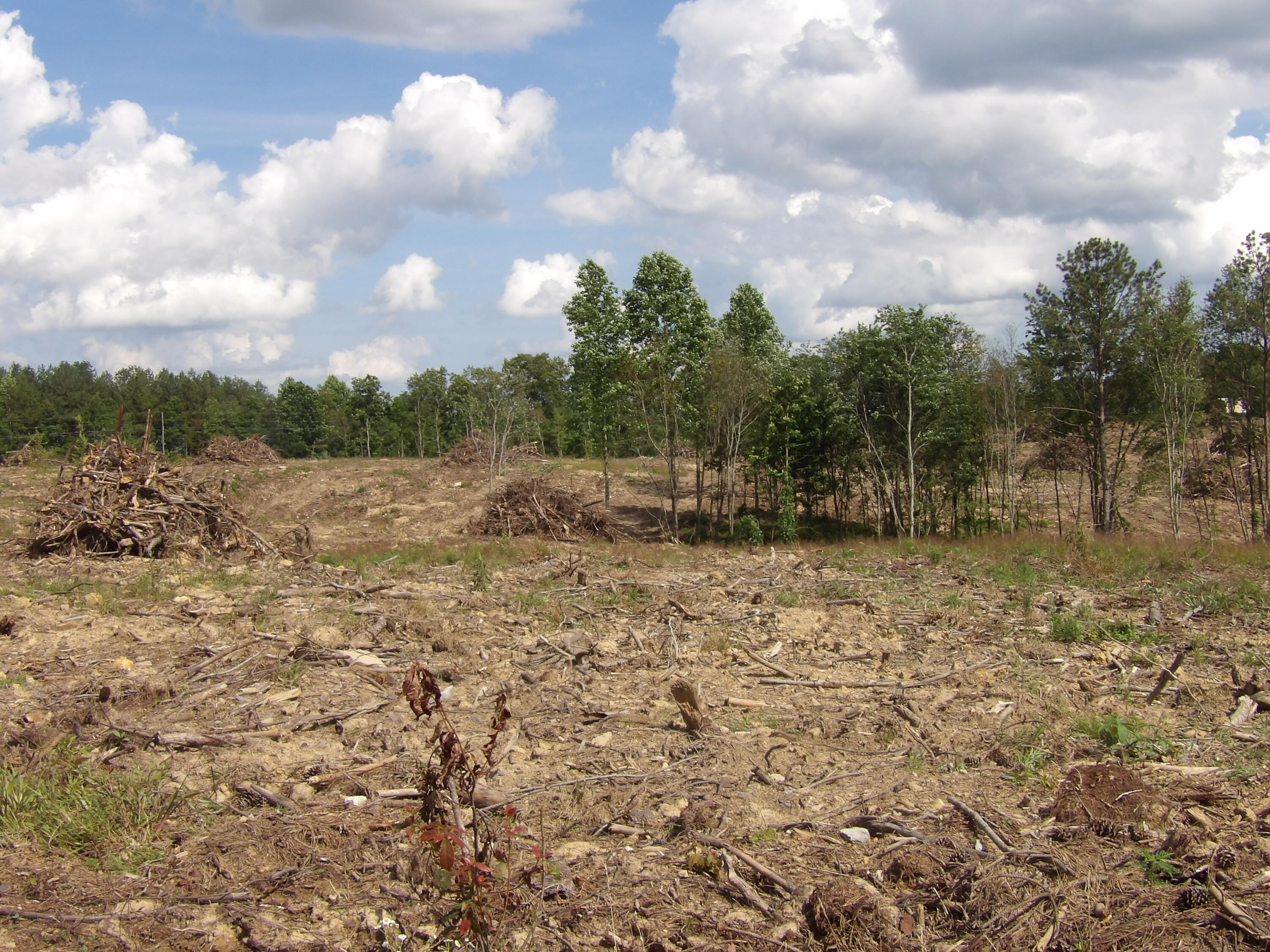 Lot 15 Summer City Road Evensville, TN 37332 - Photo 14 of 24 100_1679