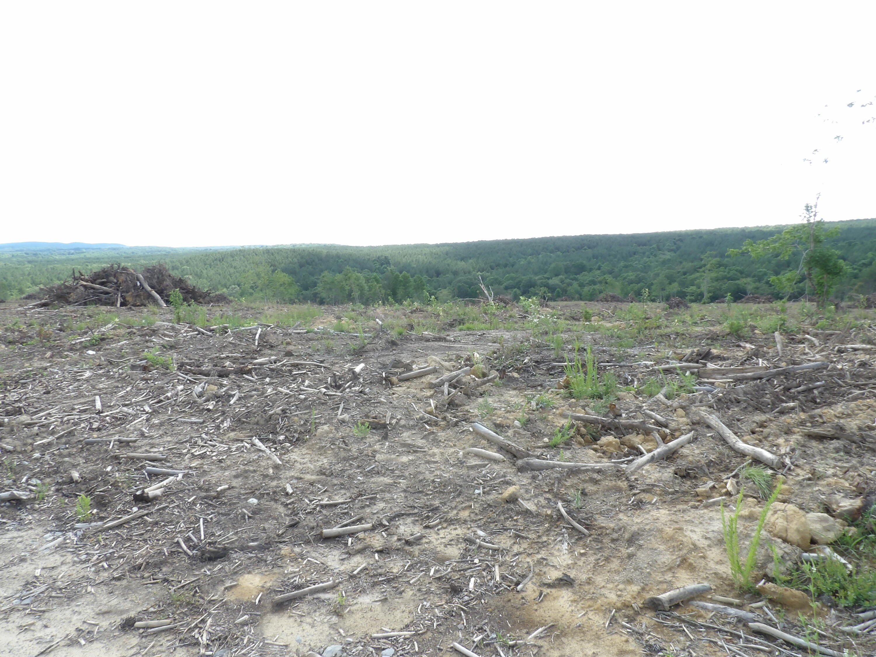 Lot 15 Summer City Road Evensville, TN 37332 - Photo 23 of 24 100_1694