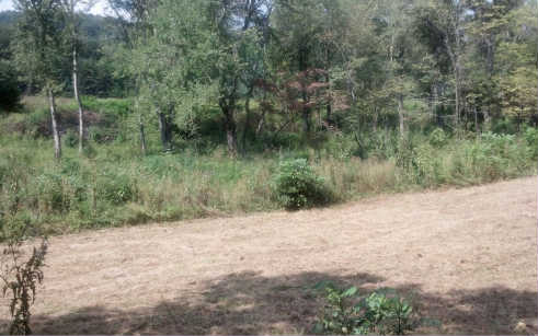 Mill Road Mineral Bluff, GA 30559 - Photo 1 of 1 Main View