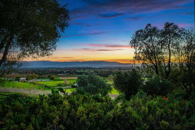 a view of a pathway with a garden