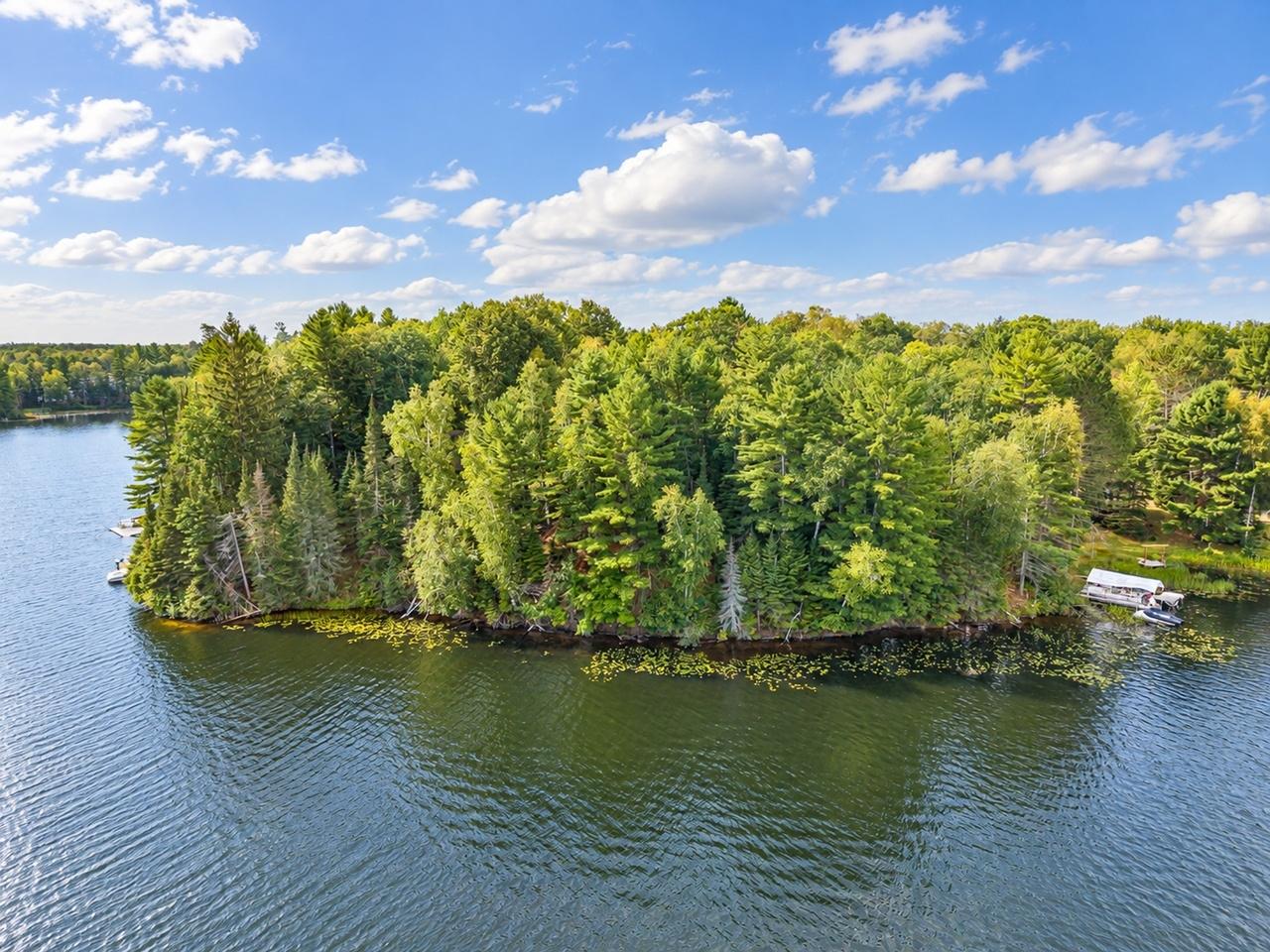 Lt On Oswego Fishtrap Lake Road Boulder Junction, WI 54512 - Photo 10 of 27 Gallery Image 10