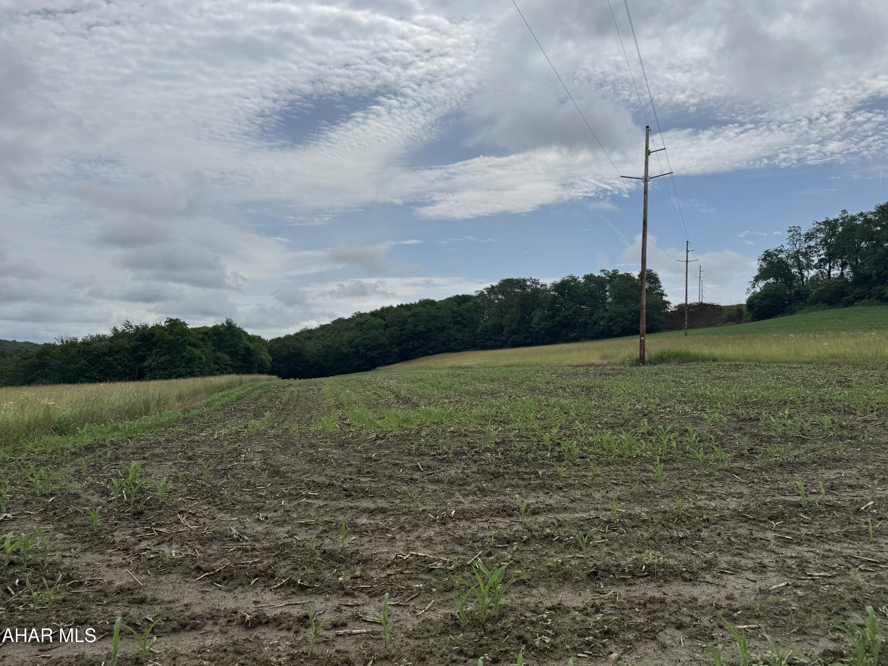 0 Magee Road Patton, PA 16668 - Photo 4 of 4 Gallery Image 4