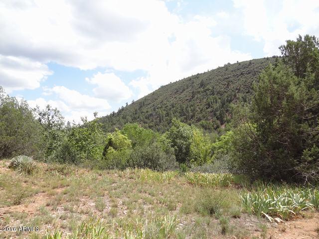 2289 North Flowing Springs Road Payson, AZ 85541 - Photo 20 of 21 DSC09672 - Copy