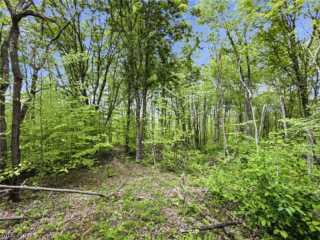 95-acres Newlon Road Malta, OH 43758 - Photo 18 of 18