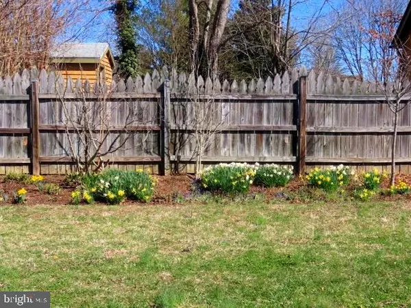 a view of a backyard with potted plants and large trees