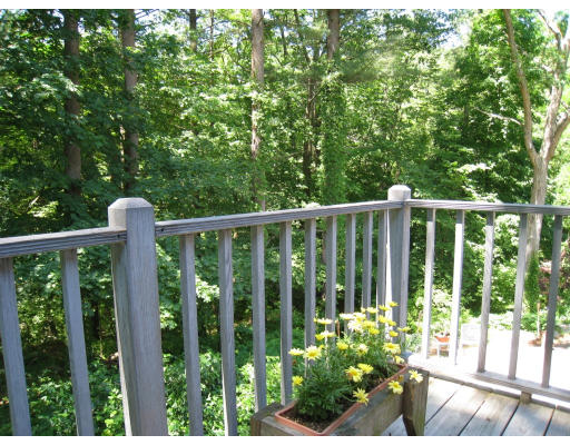 5 Mill Dam Road Bedford, MA 01730 - Photo 17 of 24 Gallery Image 17