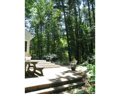 5 Mill Dam Road Bedford, MA 01730 - Photo 22 of 24 Gallery Image 22