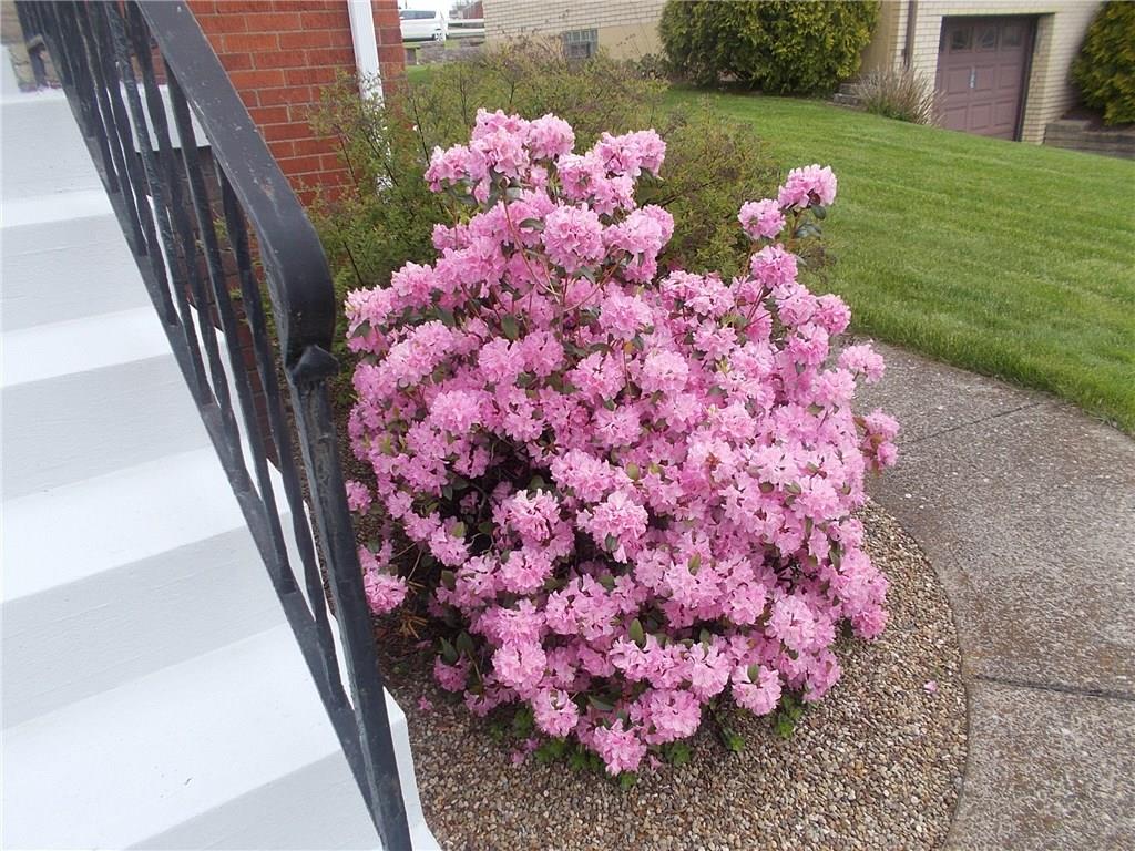 132 Starling Drive McKees Rocks, PA 15136 - Photo 25 of 25 HAPPY SPRING!! Thank you for visiting this lovely home. Same time next year, you could enjoy the beautiful landscape and grounds while relaxing under the covered rear porch outside!
