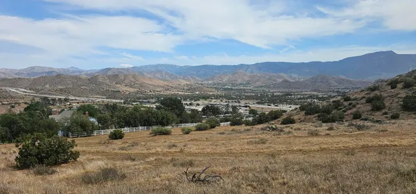 a view of a dry back yard