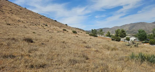 a view of a dry yard with mountains in the background