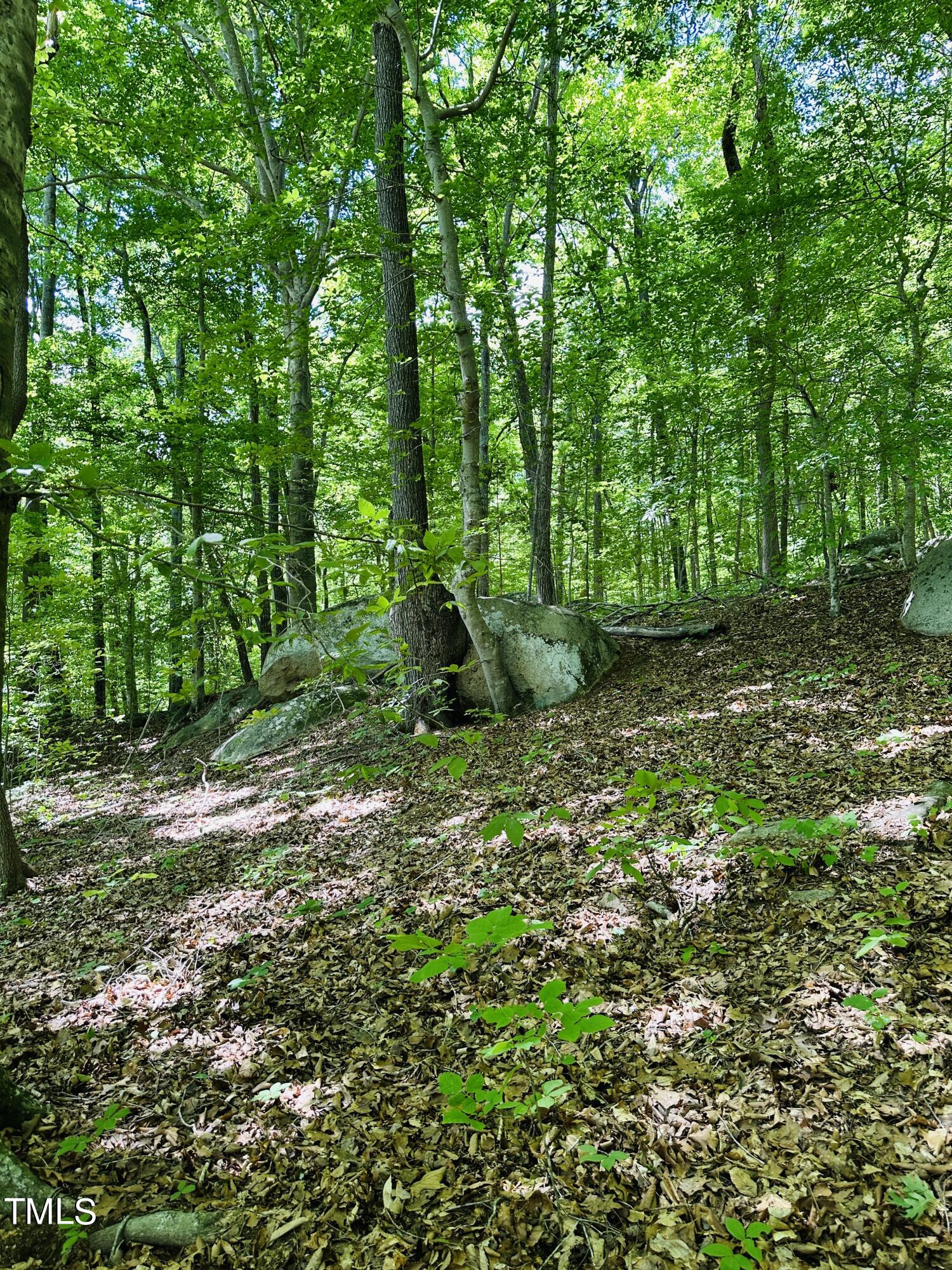 1 Buttonwood Lane Roxboro, NC 27574 - Photo 20 of 21 IMG_E2831